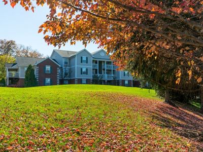 Forest Ridge Fall